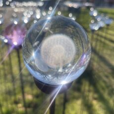 5061098722200 1 3D Crystal Ball Decorative Garden Stake Ornament Dandelion.jpg